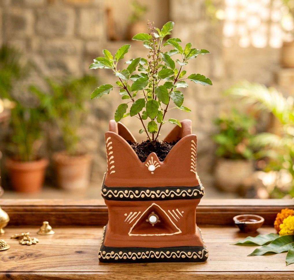 Tulsi Indoor & Outdoor Planter