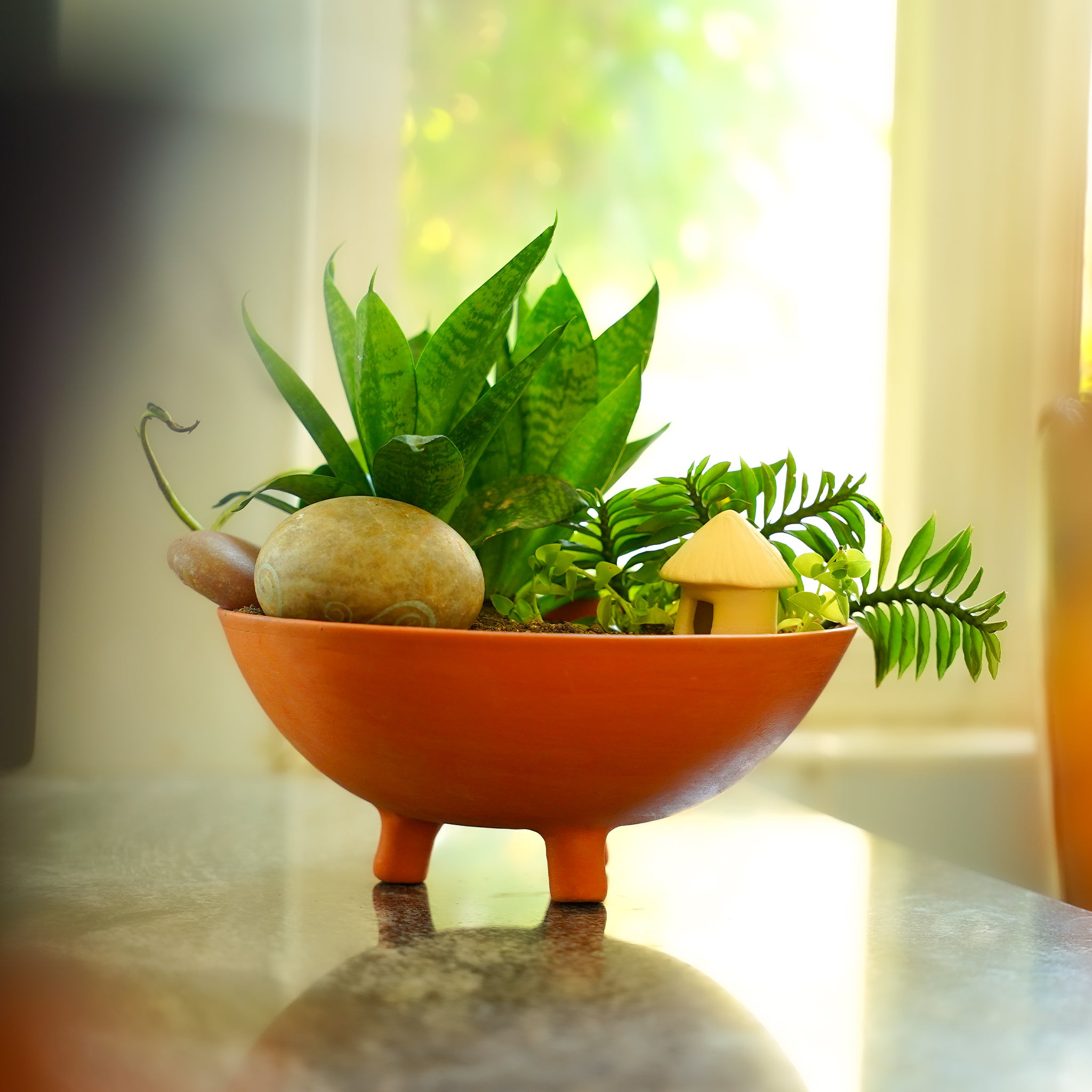 Miniature Green Haven – Terracotta Planter Bowl