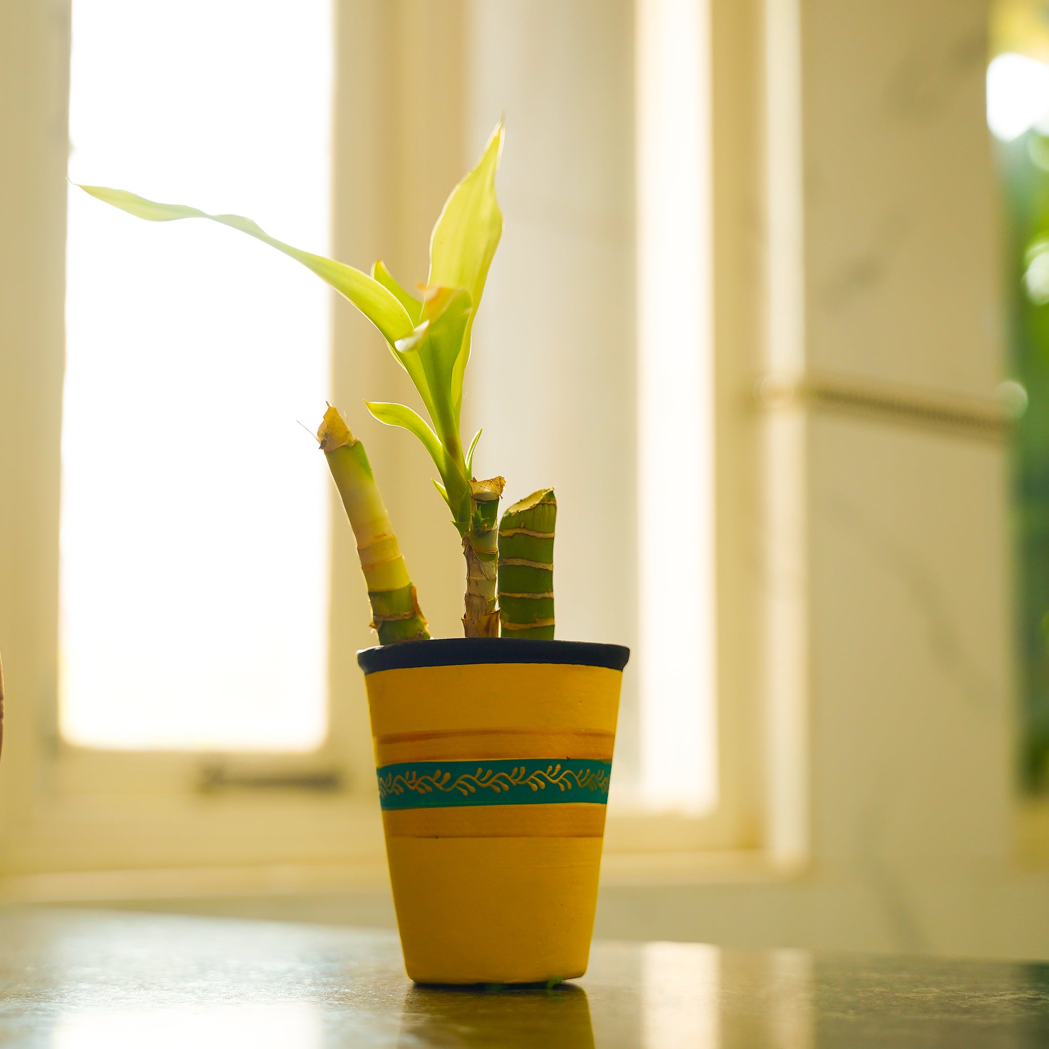 Vibrant Hand-Painted 4” Planter