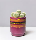 Artisan Maroon Planter with Traditional Design