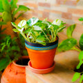 Vibrant Orange Indoor/Outdoor Decorative Planter Set (4 Pack)