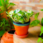 Vibrant Orange Indoor/Outdoor Decorative Planter Set (4 Pack)