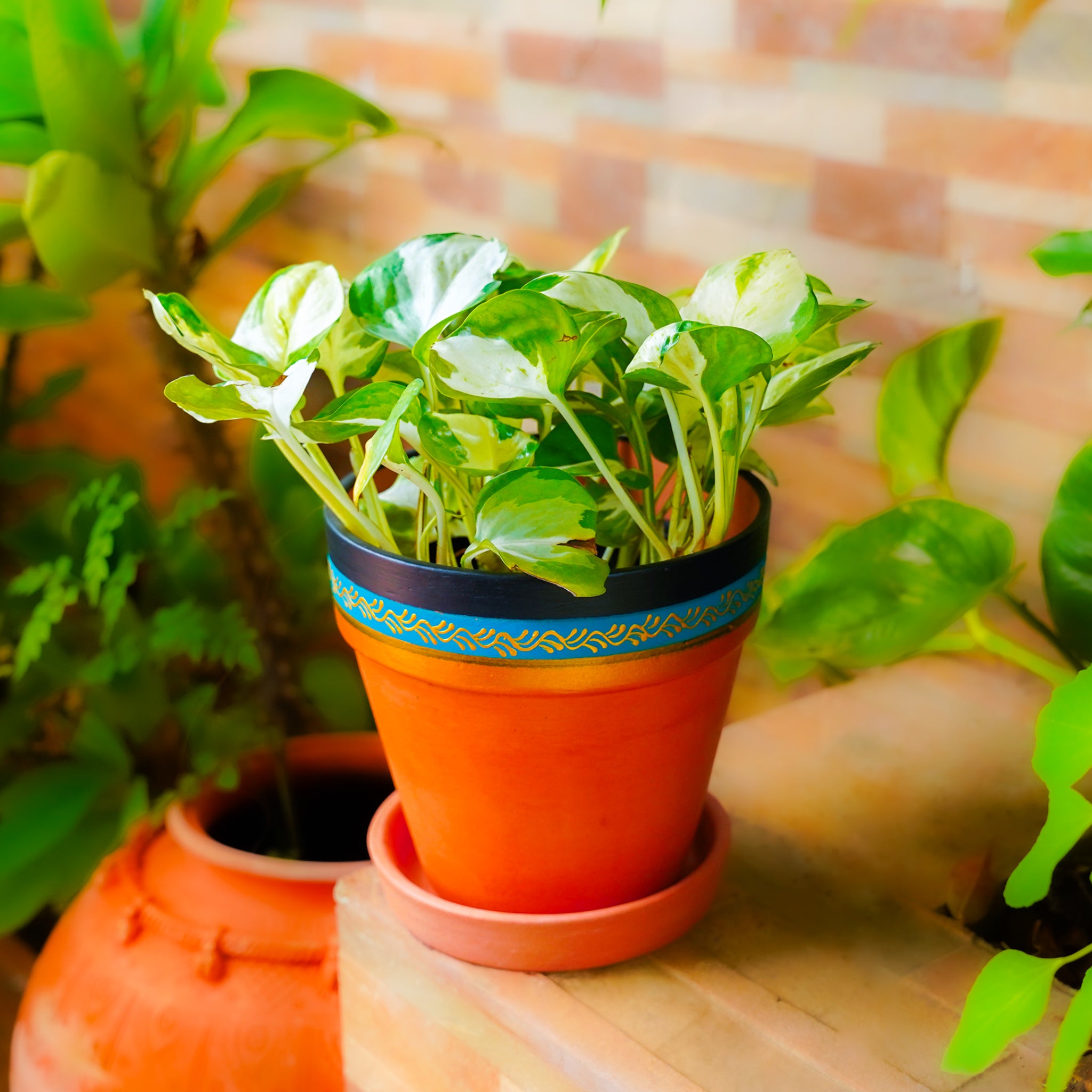 Vibrant Orange Indoor/Outdoor Decorative Planter Set (4 Pack)