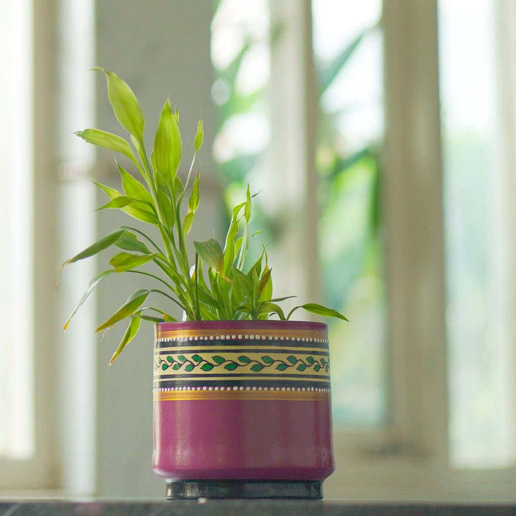 Round Shape Indoor Planter Bowl
