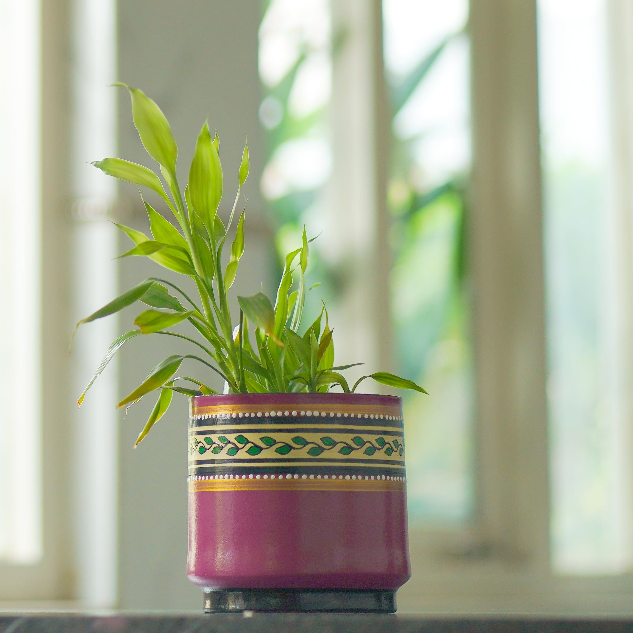 Round Shape Indoor Planter Bowl
