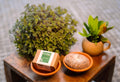 Artisan Clay Soap & Scrub Dish