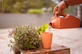 Terracotta Tumbler Set Of 2-300ml