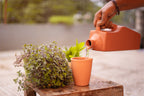 Terracotta Tumbler Set Of 2-300ml