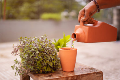 Terracotta Tumbler Set Of 4 -500ml